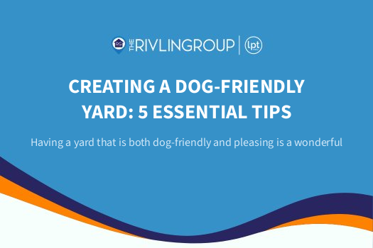 Creating a Dog-Friendly Yard: 5 Essential Tips