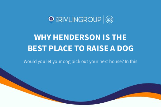 Why Henderson Is The Best Place To Raise A Dog
